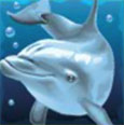 Игровой автомат Жемчужина дельфина (Dolphin's Pearl)